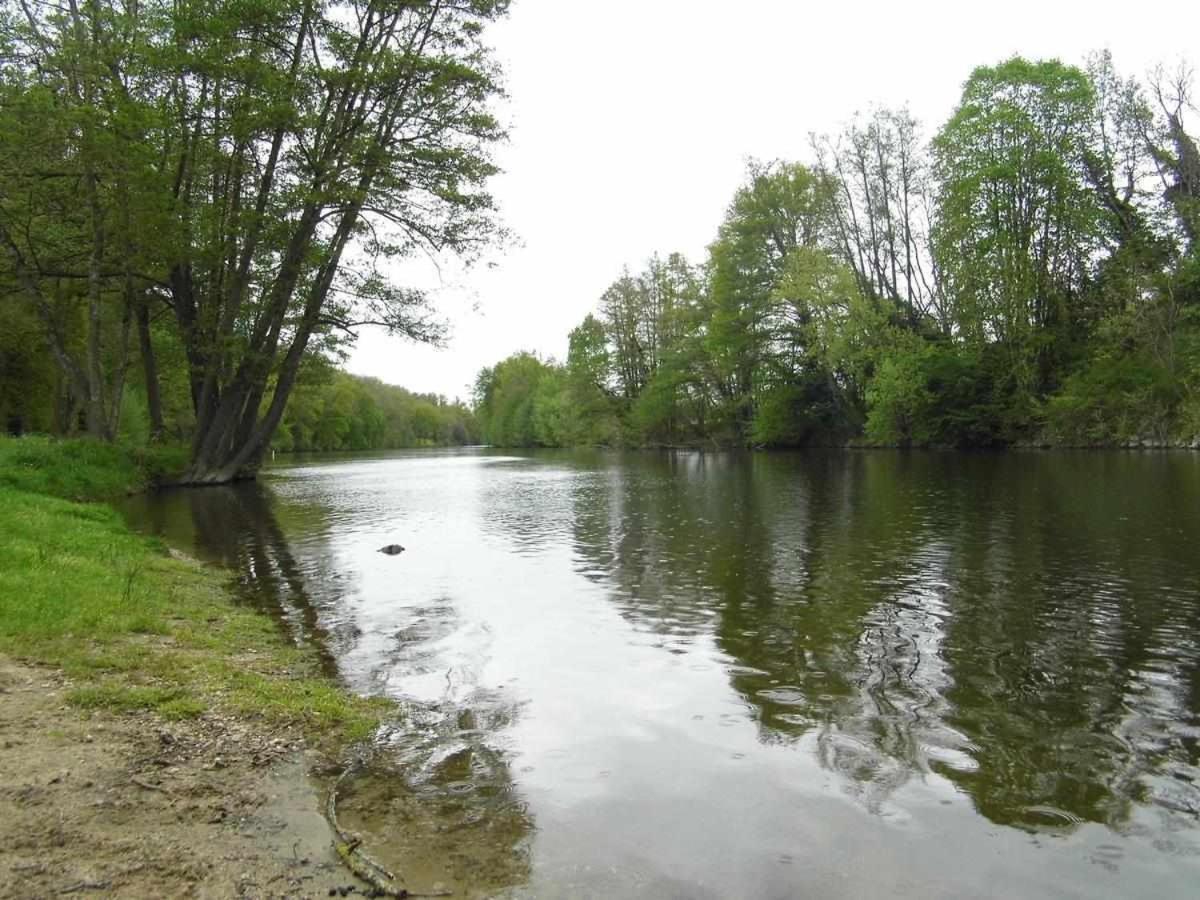 Joli Petit T2 Calme Au Bord De Leau Villa Vieille-Brioude Eksteriør bilde